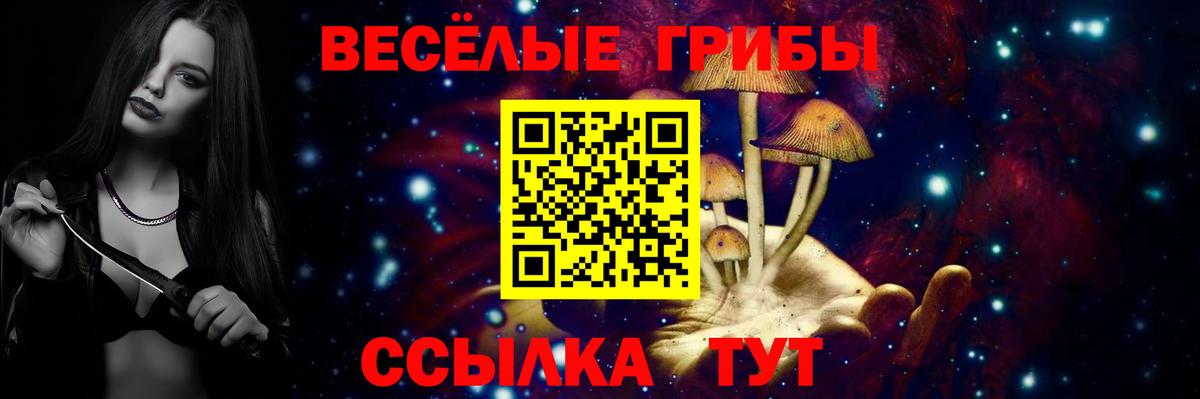 Урус-Мартан  Псилоцибиновые грибы Psilocybine cubensis  купить наркотики цена  Вход с VPN 
